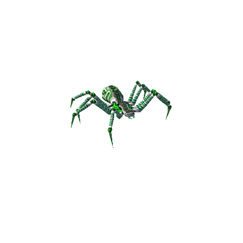 spider 8